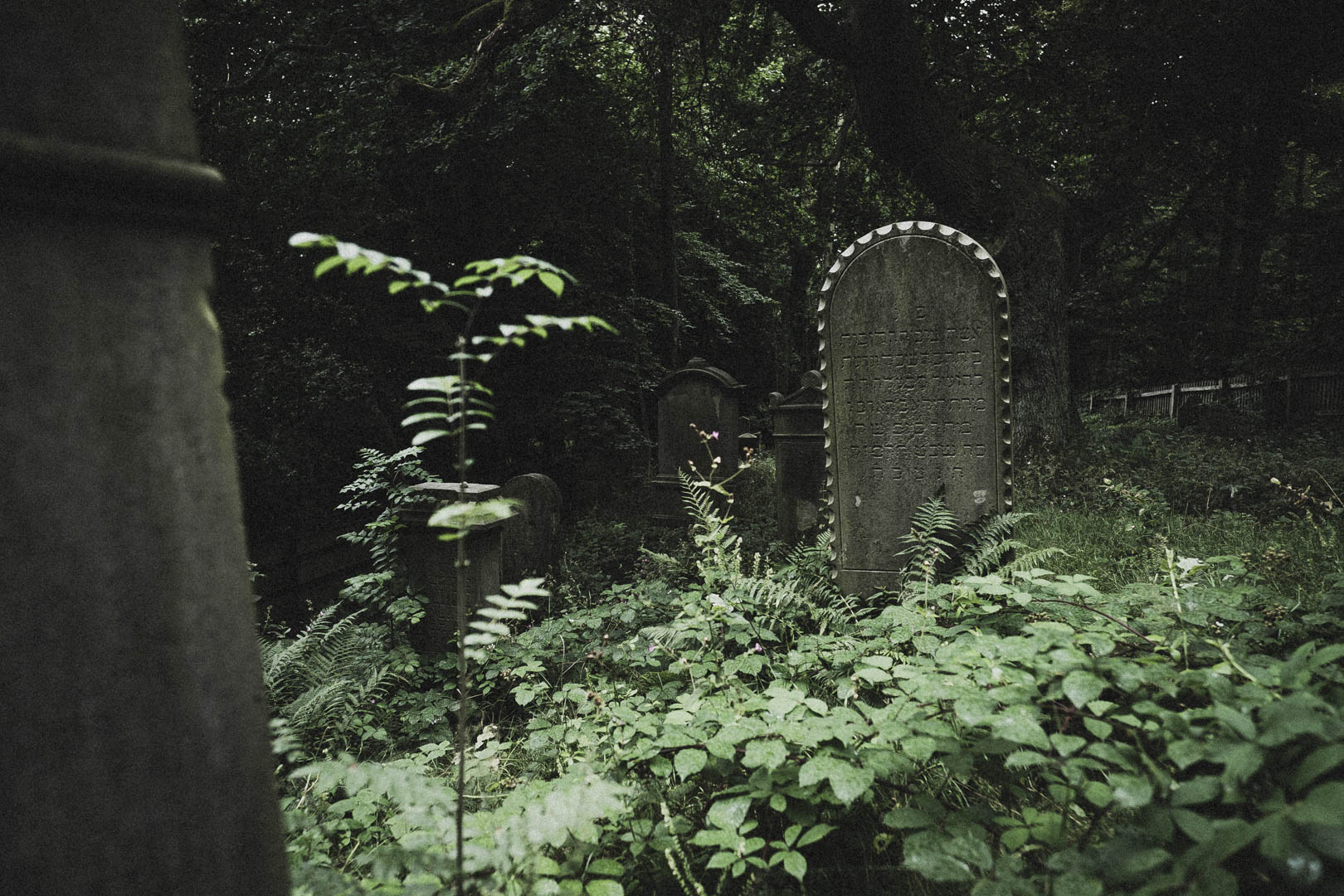 Obernkirchen, Jüdischer Friedhof